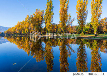 札幌市前田森林公園の紅葉 札幌市前田森林公園の紅葉 108363391