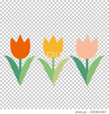 3 tulips flat 108363407