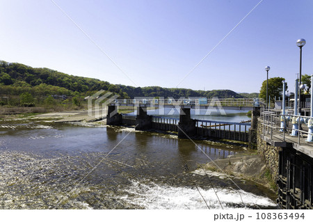 東京都の羽村市にある羽村取水堰（投渡堰）から見た多摩川　2023年4月 108363494