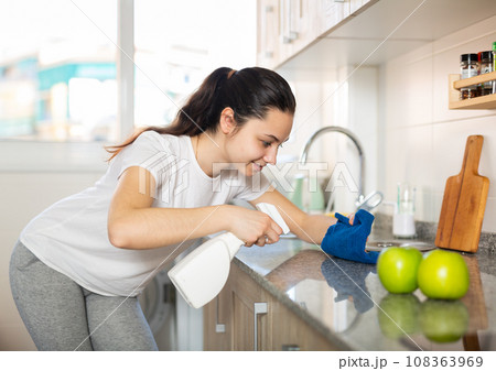 Attractive smiling young woman cleaning kitchen counter Attractive smiling young woman cleaning kitchen counter 108363969