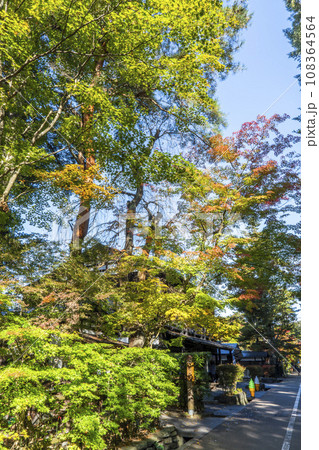 秋の角館武家屋敷通り　紅葉始めの風景　秋田県仙北市 108364564