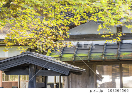 秋の角館武家屋敷通り 紅葉始めの風景 秋田県仙北市 秋の角館武家屋敷通り 紅葉始めの風景 秋田県仙北市 108364566