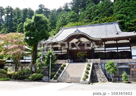 南足柄市　大雄山最乗寺境内の書院と満開のサルスベリ 108365602