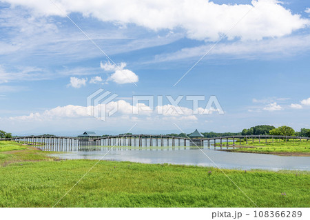 青森県鶴田町 人気の観光スポット 晴天の鶴の舞橋 青森県鶴田町 人気の観光スポット 晴天の鶴の舞橋 108366289