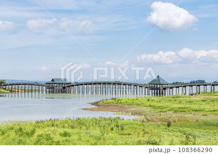 青森県鶴田町　人気の観光スポット　晴天の鶴の舞橋 108366290