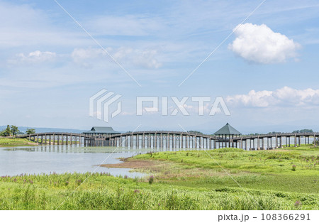 青森県鶴田町 人気の観光スポット 晴天の鶴の舞橋 青森県鶴田町 人気の観光スポット 晴天の鶴の舞橋 108366291