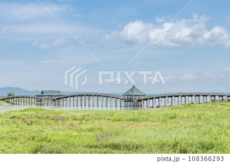 青森県鶴田町　人気の観光スポット　晴天の鶴の舞橋 108366293