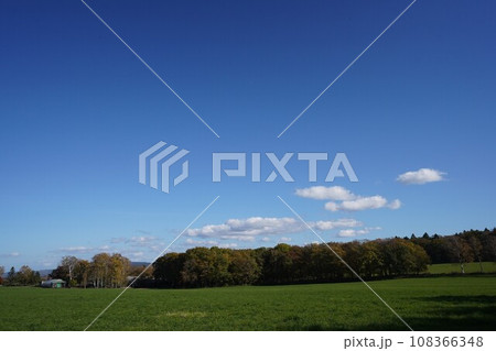 秋晴れの牧草地 108366348