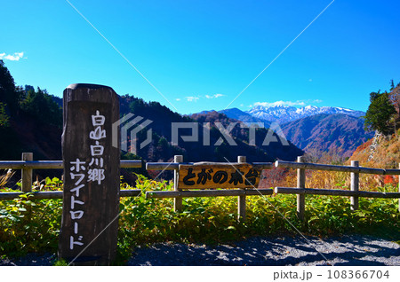 白山白川郷ホワイトロード とがの木台展望台 白山 紅葉 白山白川郷ホワイトロード とがの木台展望台 白山 紅葉 108366704