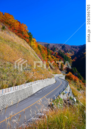 白山白川郷ホワイトロード　紅葉　国見展望台 108366705