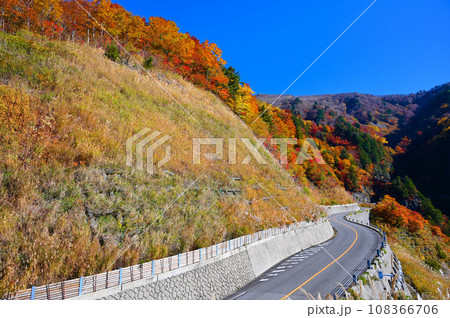 白山白川郷ホワイトロード　紅葉　国見展望台 108366706