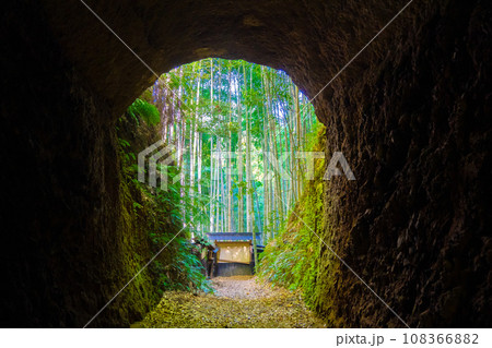 土井竹林 108366882