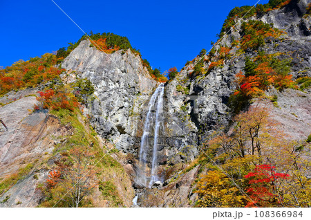 白山白川郷ホワイトロード　ふくべの大滝　紅葉 108366984