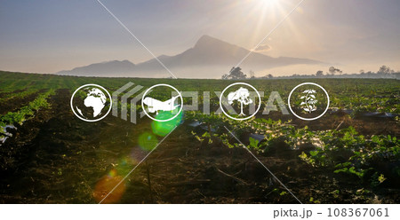 Tourism resources and agricultural learning, Watermelon farming Tourism resources and agricultural learning, Watermelon farming 108367061