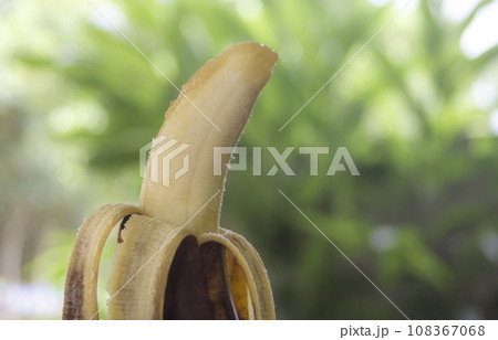 Rotten banana on blurred bokeh nature 108367068