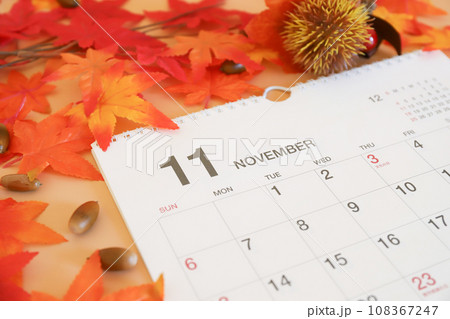 11月のカレンダー 紅葉イメージ 11月のカレンダー 紅葉イメージ 108367247
