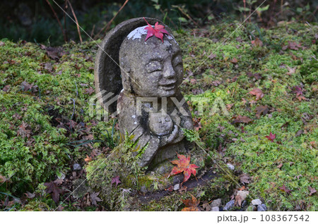 京都大原三千院の猫好きな小さなお地蔵さん 108367542