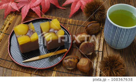 栗蒸し羊羹・秋の和菓子と緑茶 108367638