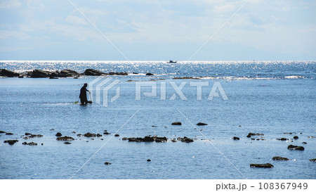 漁　男鹿半島　干潮時の鵜ノ崎海岸　秋田県 108367949