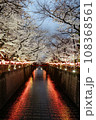 目黑川沿いの夜桜01 108368561
