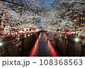 目黑川沿いの夜桜02 108368563