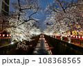 目黑川沿いの夜桜03 108368565