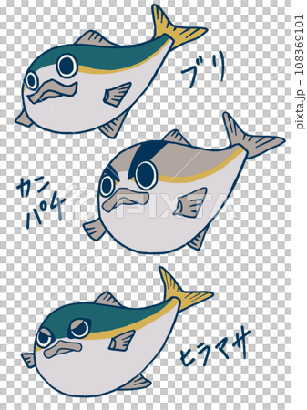 わかりやすいブリ属のイラスト 108369101