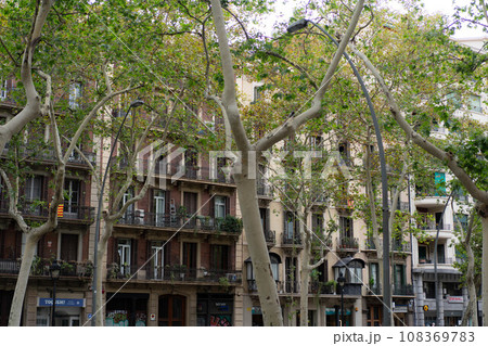 バルセロナの景色 バルセロナの景色 108369783