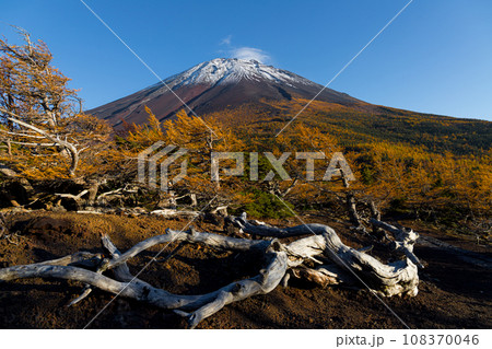 奥庭からの富士山 108370046