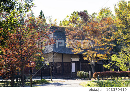 秋の国営みちのく杜の湖畔公園　紅葉した木々の風景　宮城県川崎町 108370419