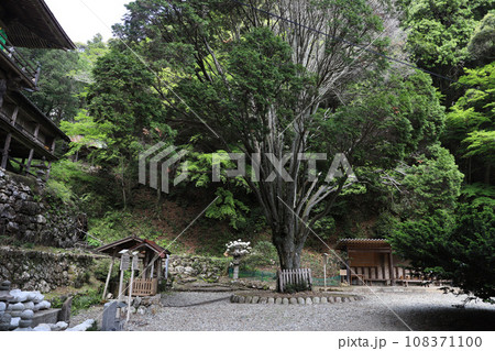 日龍峯寺(高澤観音)にちりゅうぶじ　岐阜県関市 108371100