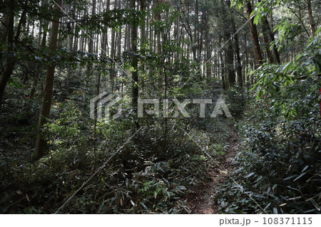 日龍峯寺(高澤観音)にちりゅうぶじ　岐阜県関市 108371115