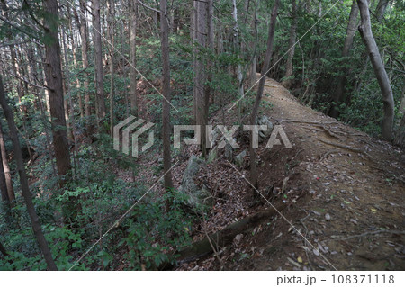 日龍峯寺(高澤観音)にちりゅうぶじ　岐阜県関市 108371118