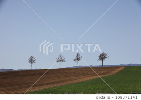 メルヘンの丘の風景_大空町 メルヘンの丘の風景_大空町 108371141