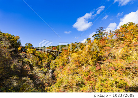 紅葉の宮城鳴子峡大深沢橋 紅葉の宮城鳴子峡大深沢橋 108372088