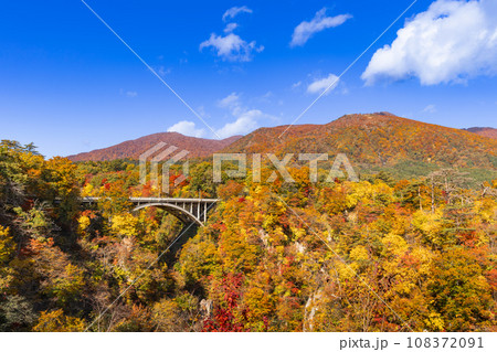 紅葉の宮城鳴子峡大深沢橋 108372091