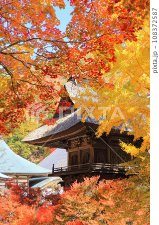 信濃大町の古刹　霊松寺の秋 108372587