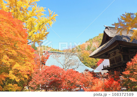 信濃大町の古刹　霊松寺の秋 108372589