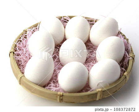 卵 生卵 108372872