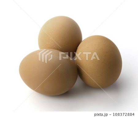 卵 生卵 卵 生卵 108372884