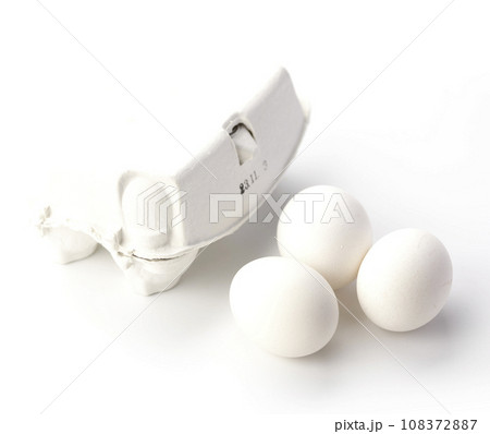 卵 生卵 108372887