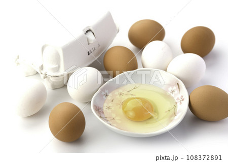 卵 生卵 108372891