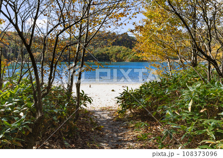 宮城潟沼へ続く落ち葉の小道 108373096