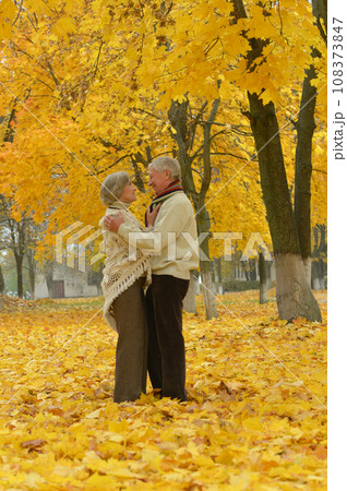 Elderly couple dance in the park in autumn 108373847