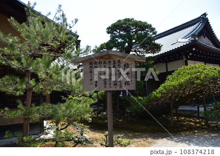 日本の春の京都　世界遺産の金閣寺境内　陸舟の松と木造の案内看板 108374218