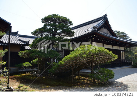 日本の春の京都 世界遺産の金閣寺境内 陸舟の松と歴史的建造物 日本の春の京都 世界遺産の金閣寺境内 陸舟の松と歴史的建造物 108374223
