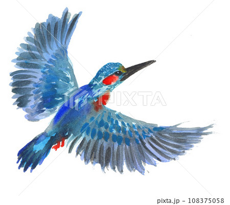 水彩で描いたカワセミ231102pix7 108375058