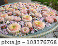 行田の花手水 108376768