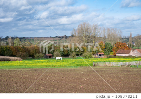 Brown soil and buttercup fields with farms in the background at the Flemish countryside around Gooik, Brabant, Belgium 108378211