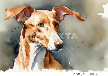 watercolor picture of a cute dog watercolor picture of a cute dog 108378897